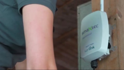 Интернет коров: датчик от smaXtec следит за здоровьем крупного рогатого скота