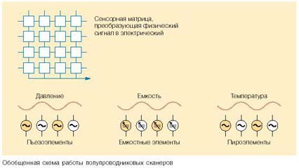 Сканеры отпечатков пальцев