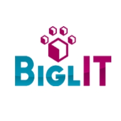 BIGLit WAS позволит интегрироваться с автоматизированными складскими системами  класса AS/RS 