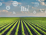 Коммуникационные технологии Agro IoT